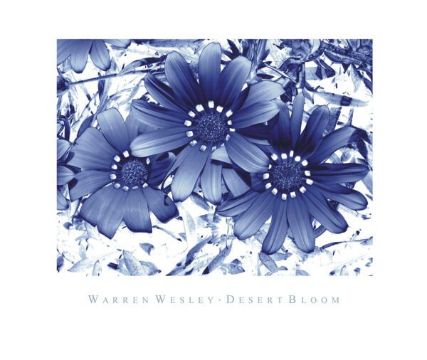 Desert Bloom 83cm X 70cm